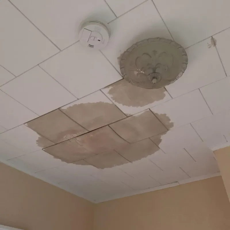 Ceiling Water Damage Repair in Forest, OH