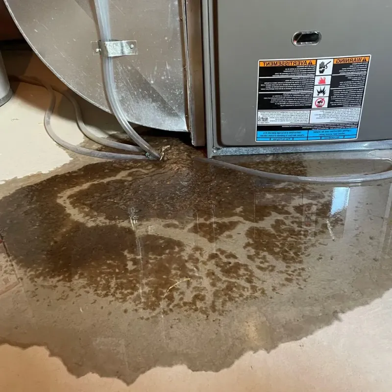 Pipe Burst and Leak Restoration in Forest, OH