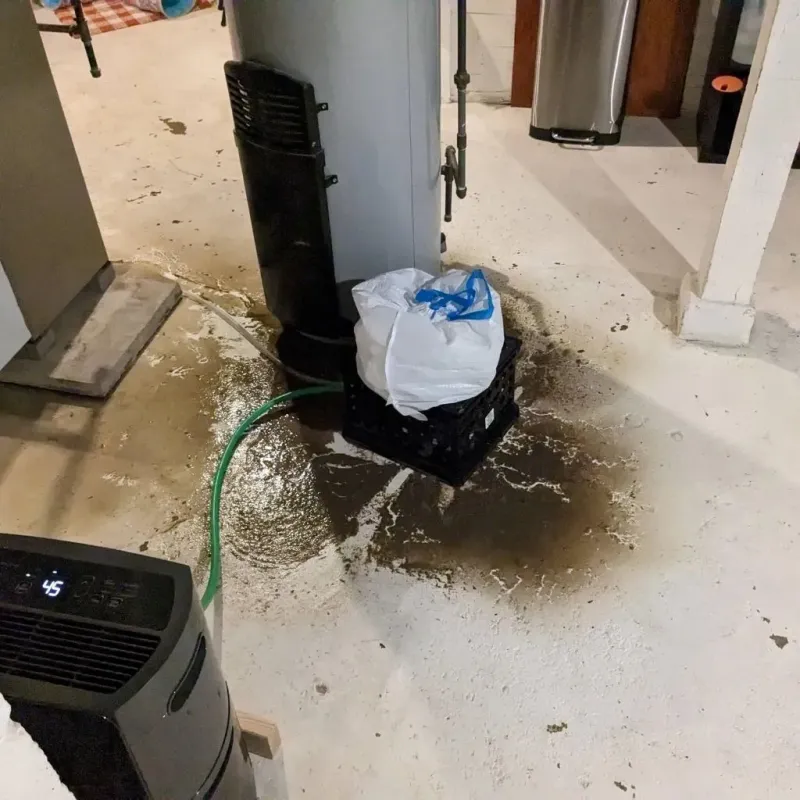 Sewage Backup Cleanup Service in Forest, OH